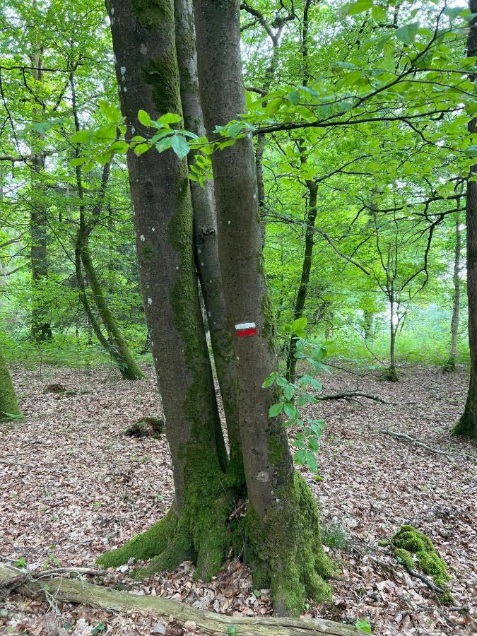 مبيت وإفطار Bagnoles de l'Orne Normandie Manoir De La Prise Tarot المظهر الخارجي الصورة